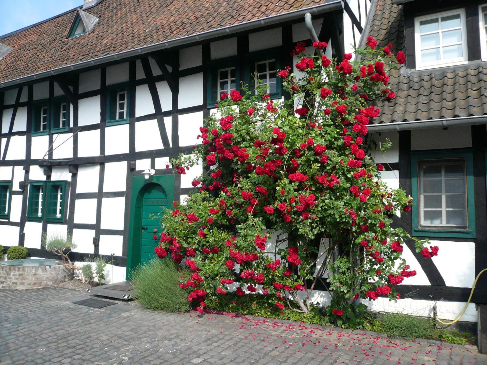 Falderhof Colonia Esterno foto